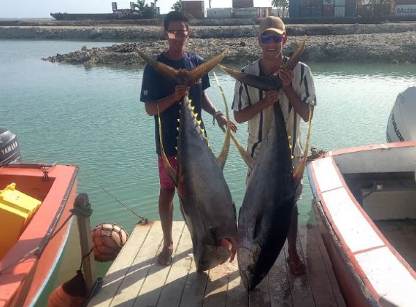 Fishermen reel in giant catches